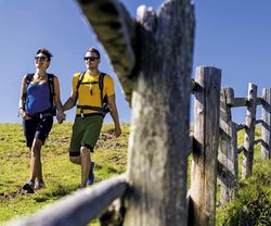 Wandern-zaun